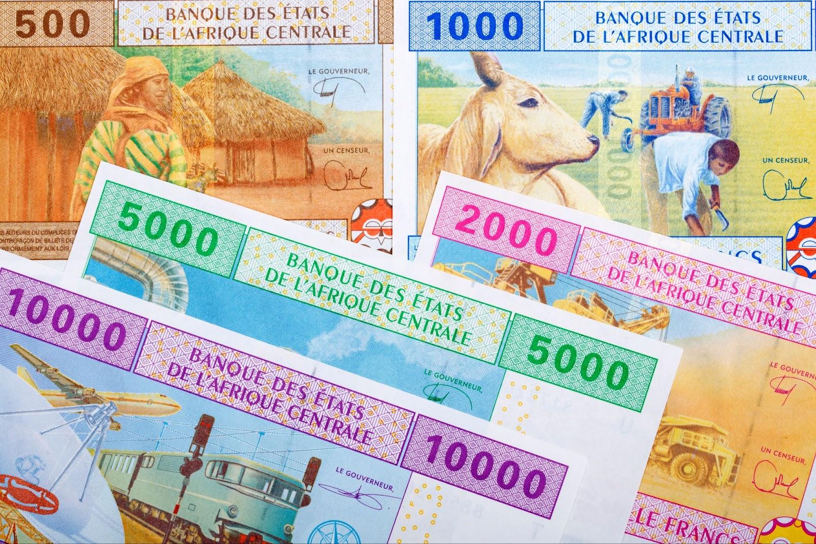 Central African CFA francs laid on a table
