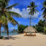 Beach with palm trees