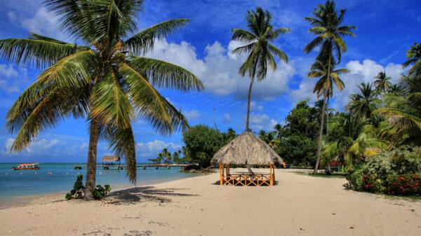 Trinidad and Tobago currency: What every visitor must know
