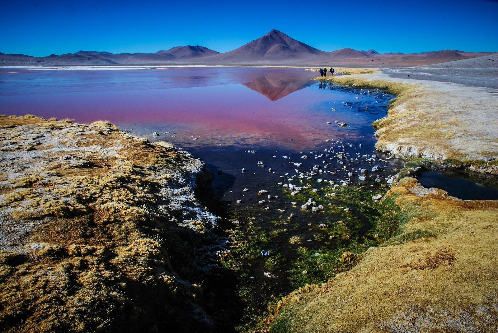 altiplano