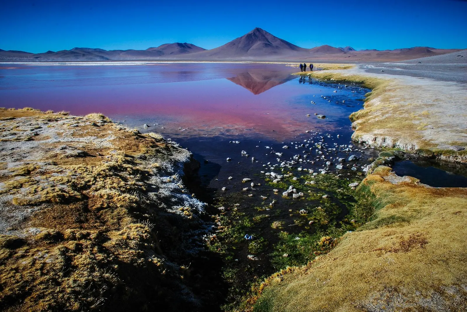 altiplano
