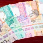 Aruban banknotes with wildlife imagery