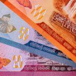 Sri Lankan money. Various Sri Lankan paper banknotes.