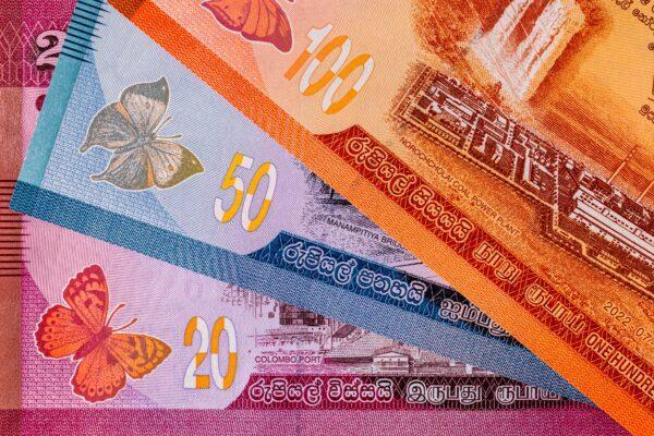 Sri Lankan money. Various Sri Lankan paper banknotes.