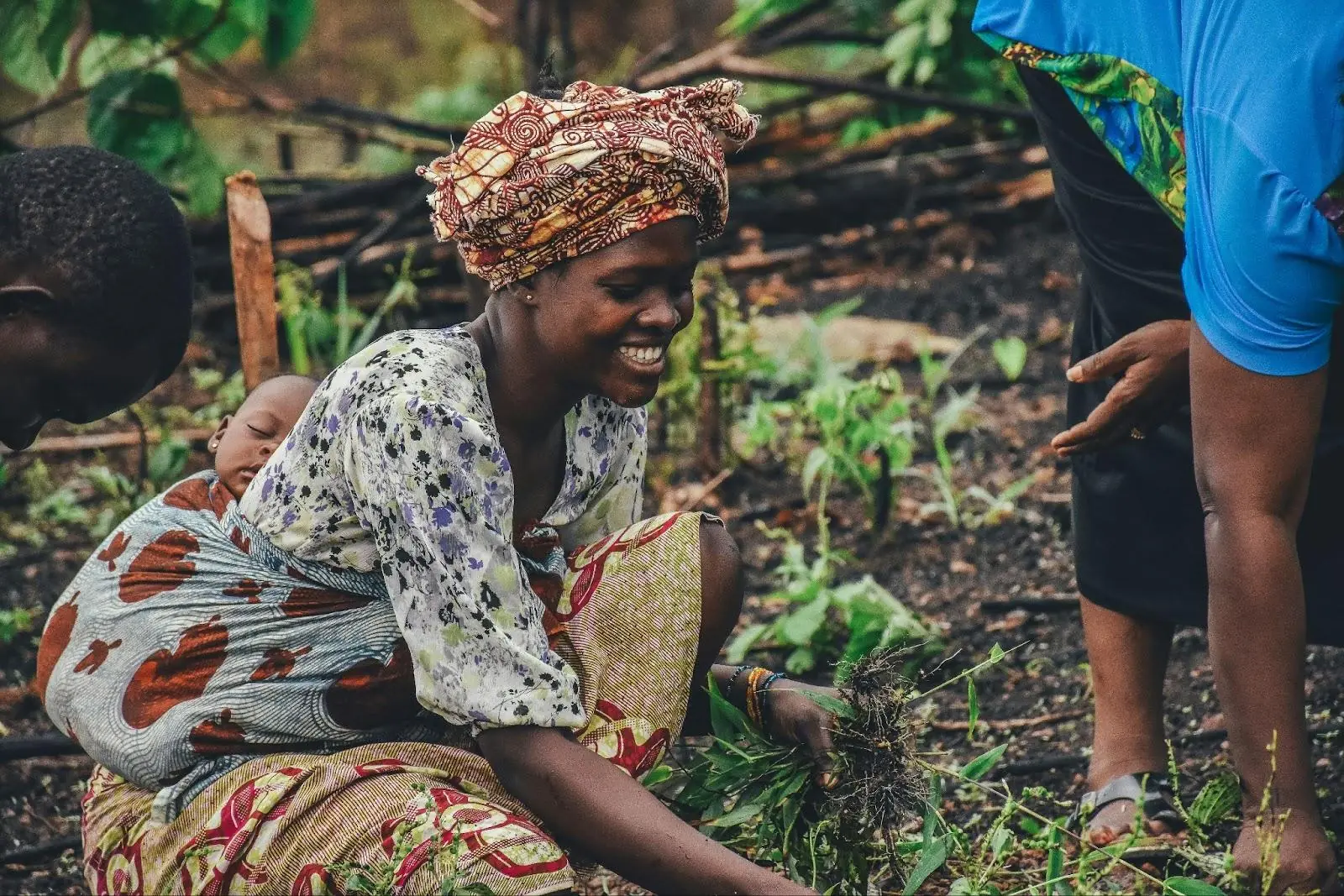 Woman with a baby on her back working fields in Sierra Leone